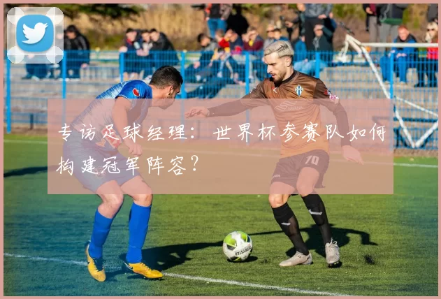 专访足球经理:世界杯参赛队如何构建冠军阵容?