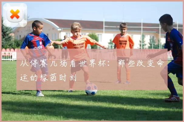 从停赛几场看世界杯:那些改变命运的绿茵时刻