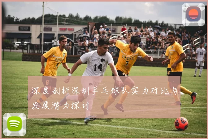 深度剖析深圳乒乓球队实力对比与发展潜力探讨