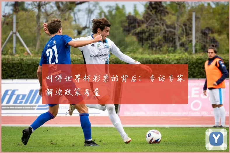 叫停世界杯彩票的背后:专访专家解读政策考量