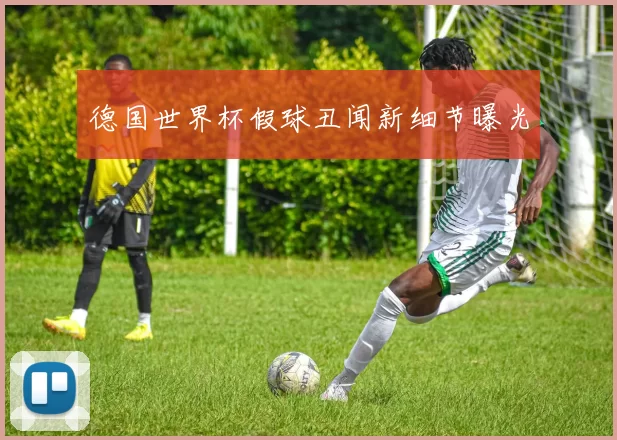 德国世界杯假球丑闻新细节曝光