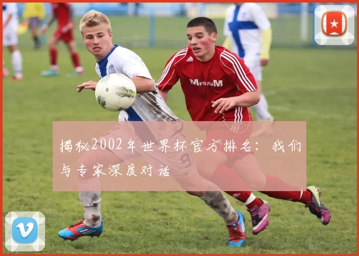 揭秘2002年世界杯官方排名：我们与专家深度对话
