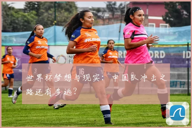 世界杯梦想与现实:中国队冲击之路还有多远?