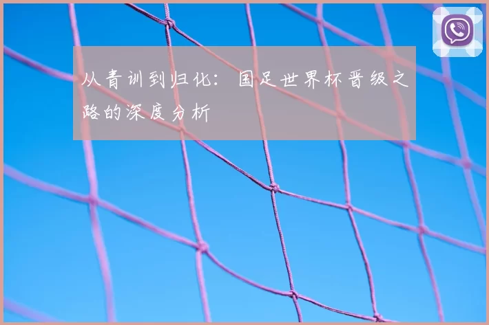 从青训到归化:国足世界杯晋级之路的深度分析