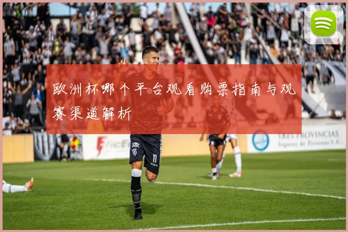 欧洲杯哪个平台观看购票指南与观赛渠道解析