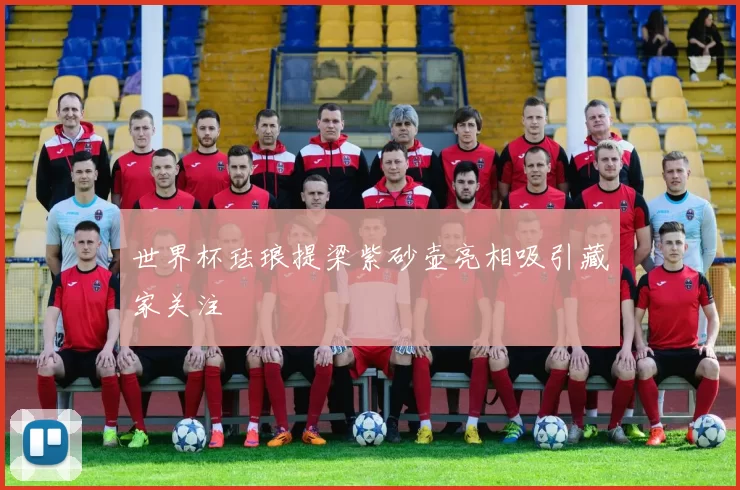 世界杯珐琅提梁紫砂壶亮相吸引藏家关注