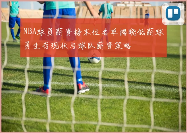 NBA球员薪资榜末位名单揭晓低薪球员生存现状与球队薪资策略