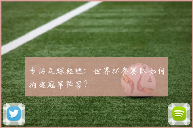 专访足球经理:世界杯参赛队如何构建冠军阵容?
