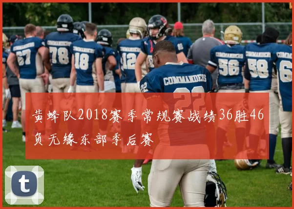黄蜂队2018赛季常规赛战绩36胜46负无缘东部季后赛