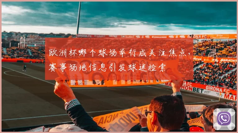 欧洲杯哪个球场举行成关注焦点,赛事场地信息引发球迷检索