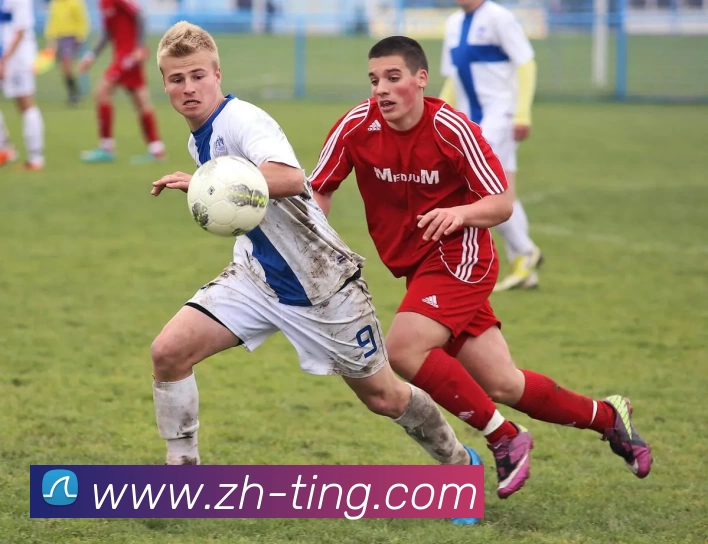 华体app官网服务体系